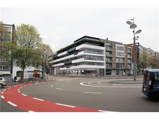 Rembrand, Genk
